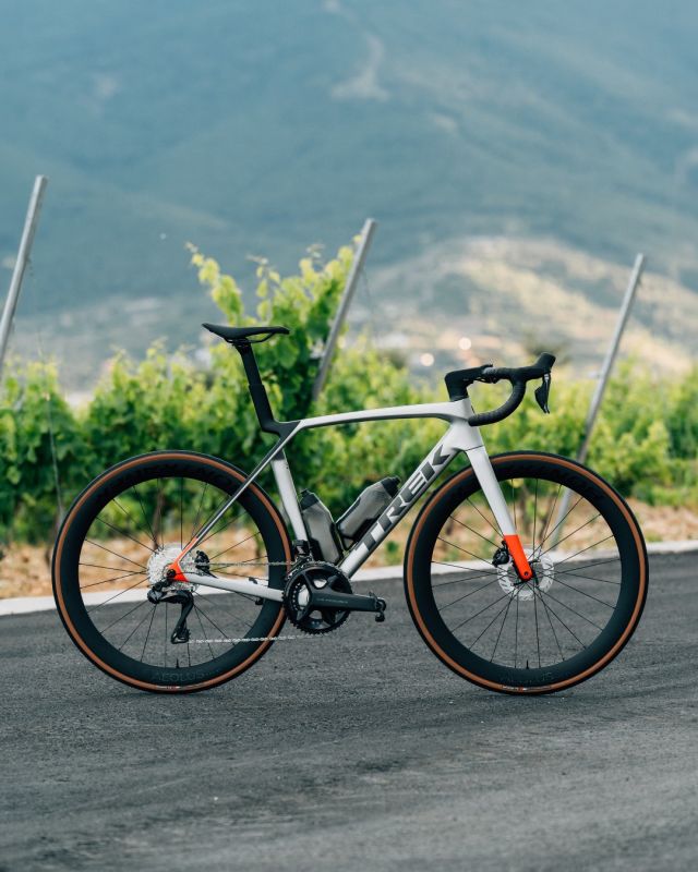 Le Madone SL 8